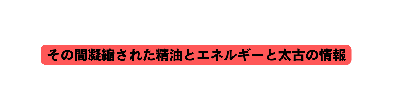 その間凝縮された精油とエネルギーと太古の情報